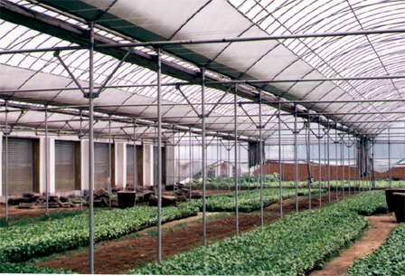 intelligent-greenhouses